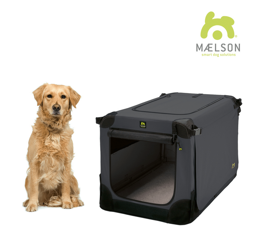 Dog sales kennel solutions